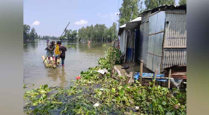 ধরলার পানি বাড়ছেই, স্থির ব্রহ্মপুত্রের