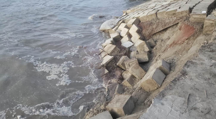 পদ্মায় পানি কমার সঙ্গে সঙ্গে বেড়েছে ভাঙন