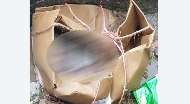 কার্টনে মিলল নবজাতকের লাশ 