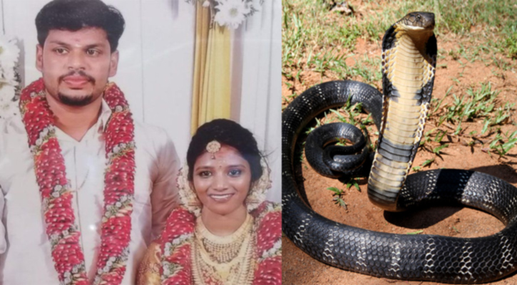 অনলাইনে সাপ কিনে স্ত্রীকে হত্যার দায়ে ‘দুইবার যাবজ্জীবন’