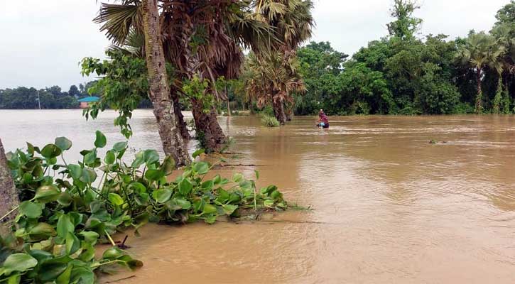 মুহুরী নদীর বাঁধ ভেঙে ৪ গ্রাম প্লাবিত