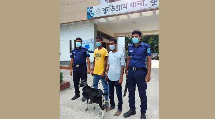 চেকপোস্টে ছাগলসহ চোর আটক