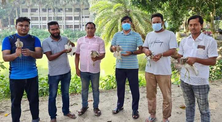 মুক্ত আকাশে উড়ল ১৫ বক 