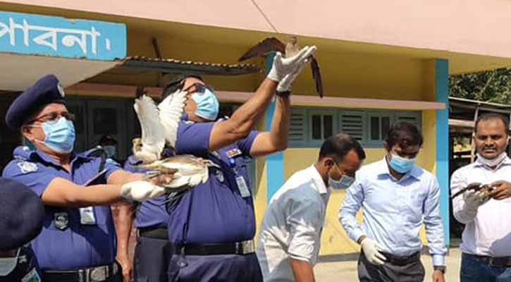 পাখিগুলো উড়ে গেল আকাশে