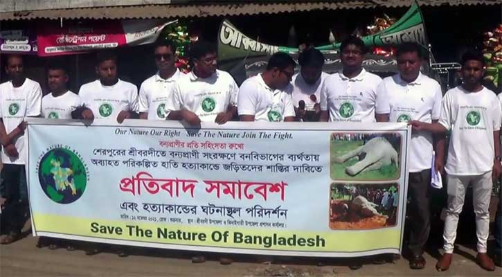 বন্যহাতি হত্যাকারীদের শাস্তি দাবি
