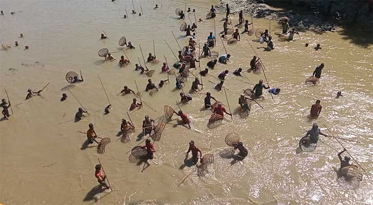 হয়ে গেল ‘পলো বাওয়া’ উৎসব