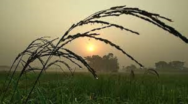 মৌসুমি বায়ুর বিদায়ে শীতের আমেজ