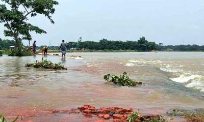 সিলেট ও সুনামগঞ্জে ১৯ হাজার ১৫৪ মাছের খামার ক্ষতিগ্রস্ত