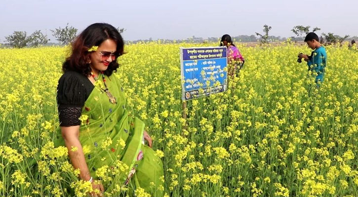 সরিষার ফুলে সেজেছে কয়রার ফসলের মাঠ