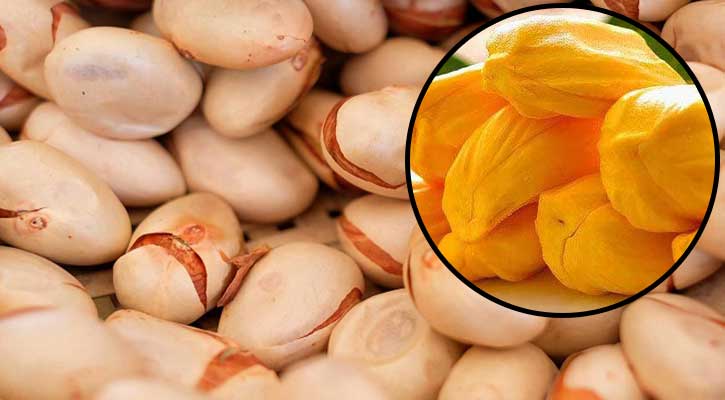 কাঁঠালের বিচিতে লুকিয়ে আছে যেসব পুষ্টিগুণ