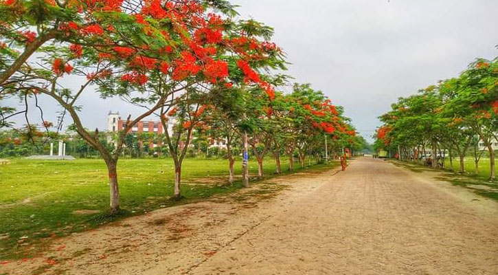 গ্রীষ্মের খরতাপেও সৌন্দর্য বিলাচ্ছে রোকেয়া বিশ্ববিদ্যালয়