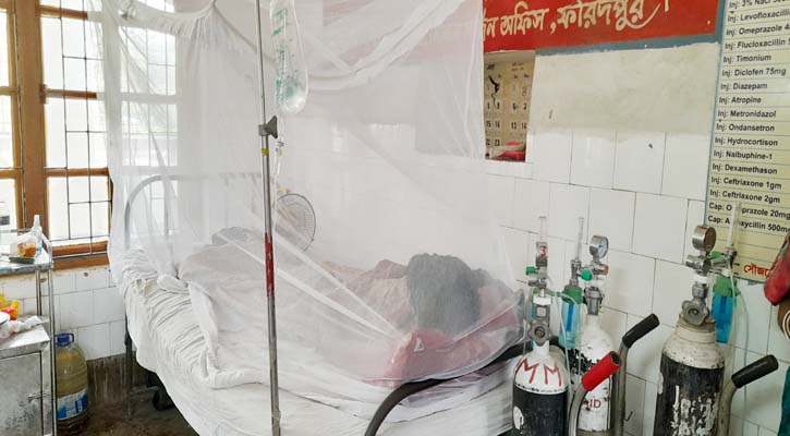 ফরিদপুরে ডেঙ্গু রোগী  ছাড়াল ৪ হাজার, মৃত্যু ১২