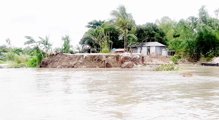 যমুনায় দ্রুত বাড়ছে পানি, দেখা দিয়েছে ভাঙন