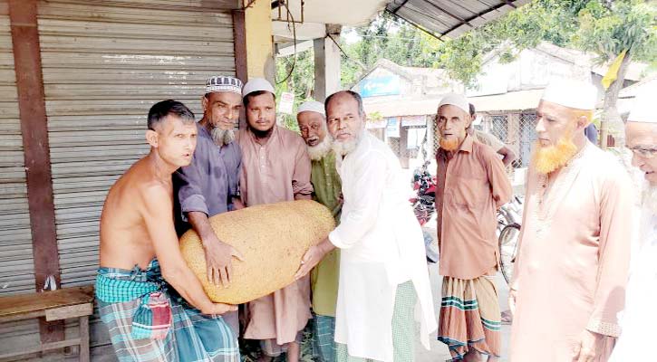 ৫২ কেজির কাঁঠাল কিনে মাইকিং করে খাওয়ানোর ঘোষণা