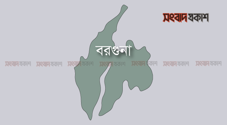 বরগুনায় বাড়ছে ডেঙ্গু রোগী