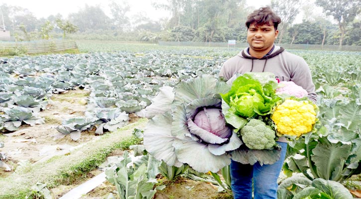 রঙিন সবজি চাষে আগ্রহ বাড়ছে কৃষকদের