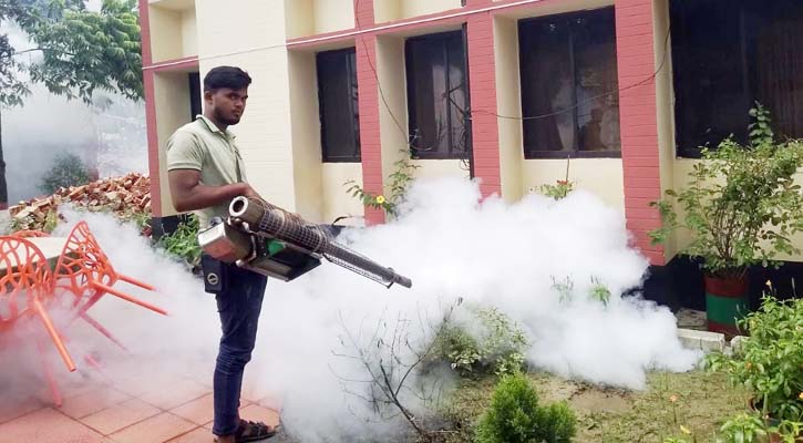 ফেনী পৌরসভায় মশক নিধন অভিযান অব্যাহত