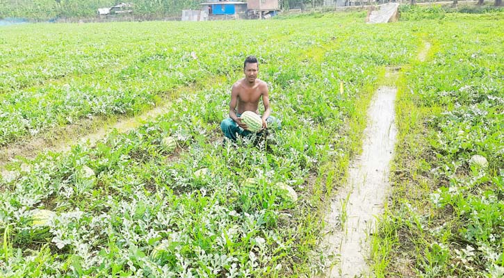 ‘হঠাৎ দেওই নাইম্মা মোগো সর্বনাশ করছে’