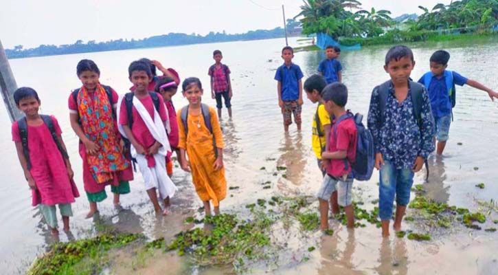 বিলের মাঝে স্কুল, সামান্য বৃষ্টিতে তলিয়ে যায় চারপাশ