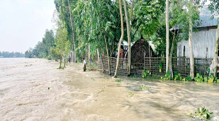 বিপৎসীমার ওপরে তিস্তার পানি, নিম্নাঞ্চল প্লাবিত