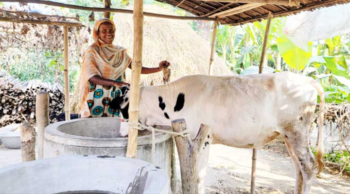 চর নলসন্ধ্যা গ্রাম ও লাভলী বেগমের আত্মকথা