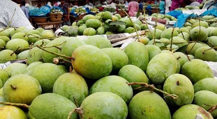 তীব্র গরমে আম পেকে যাওয়ায় বিপাকে ব্যবসায়ীরা