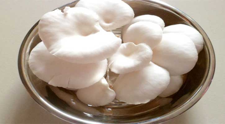 বসন্তের খাবার কেমন হবে