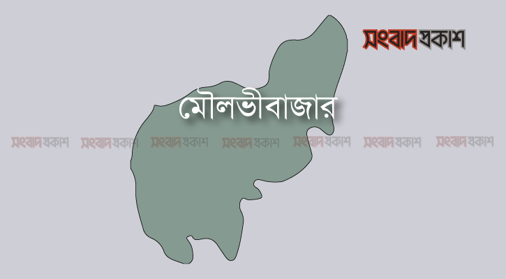 জমি নিয়ে বিরোধে বড় ভাইকে কুপিয়ে হত্যা