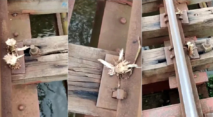রেলসেতুতে বাঁশের কঞ্চি ব্যবহার!