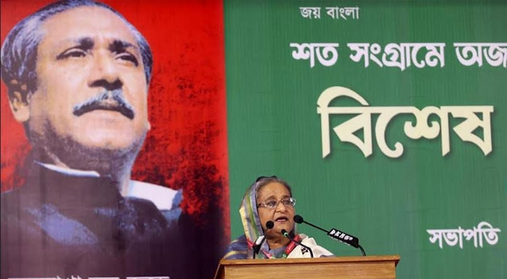 যাকে মনোনয়ন দেওয়া হবে, তার পক্ষে কাজ করবেন : প্রধানমন্ত্রী