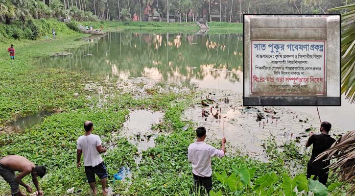 আবাসিক হলের পুকুরে অবাধে বহিরাগতদের মাছ শিকার