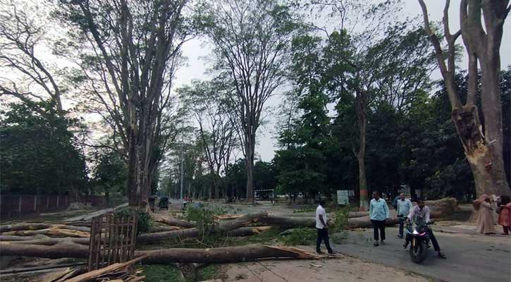 সৌন্দর্য হারাচ্ছে রাবির প্যারিস রোড