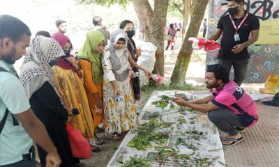 প্লাস্টিকের বোতলের বিনিময়ে মিলছে গাছের চারা