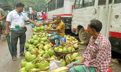 দাম কমলেও স্বস্তি নেই ডাবের বাজারে