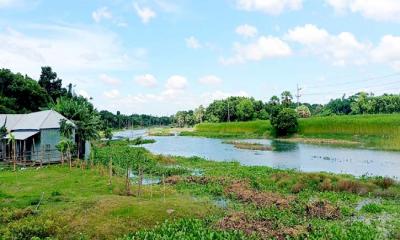 অস্তিত্ব হারাচ্ছে মালঞ্চ নদী
