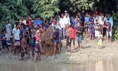 ভুবনেশ্বর নদ থেকে কুমির উদ্ধার