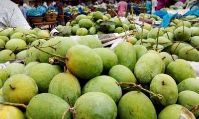 তীব্র গরমে আম পেকে যাওয়ায় বিপাকে ব্যবসায়ীরা