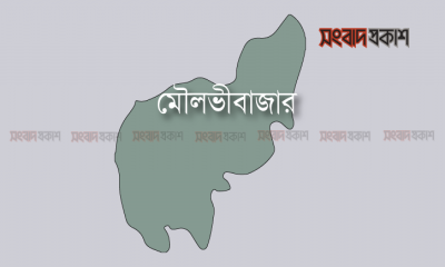 জমি নিয়ে বিরোধে বড় ভাইকে কুপিয়ে হত্যা