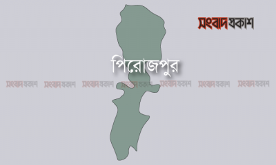 স্বামী দ্বিতীয় বিয়ে করায় ছেলেকে মেরে নিজেও করলেন আত্মহত্যা