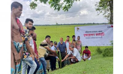 ফুলপুরে তালের চারা রোপণ করল ইউসিবি