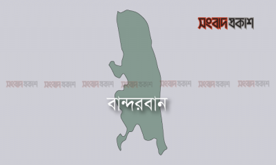 বন্য হাতির আক্রমণে বিজিবি সদস্যের মৃত্যু