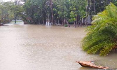 বরগুনায় ২৪ ঘণ্টায় ১৪০ মিলিমিটার বৃষ্টিপাত