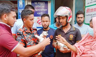 আটকে পড়া বিড়াল দুইদিন পর উদ্ধার করল ফায়ার সার্ভিস