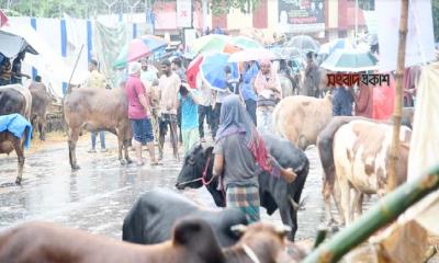 বৃষ্টিতে কমেছে বিক্রি, চিন্তায় বেপারীরা