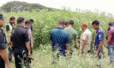 পাট ক্ষেত থেকে যুবকের গলাকাটা লাশ উদ্ধার