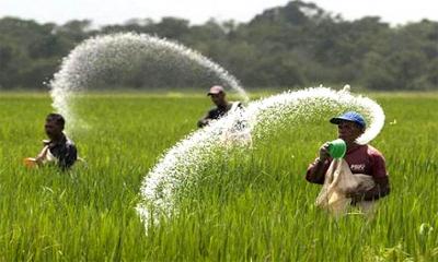 কৃষিতে সরকারের ঈর্ষণীয় সাফল্য