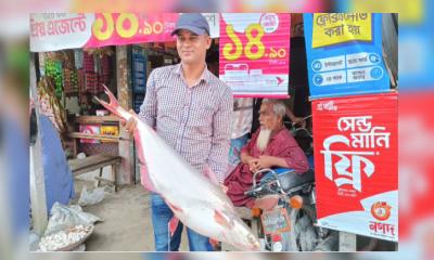 জেলের জালে ১৫ কেজির পাঙাশ