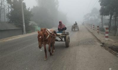 টানা শৈত্যপ্রবাহে বিপর্যস্ত কুড়িগ্রাম