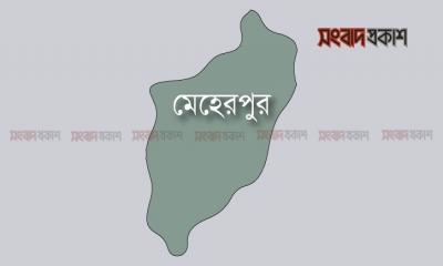 স্ত্রীকে হত্যার পর স্বামীর আত্মহত্যা