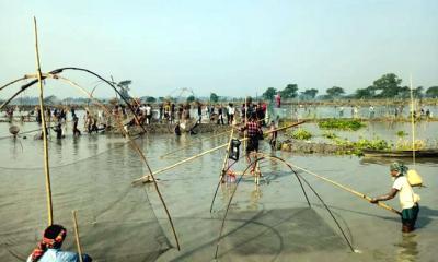 নান্দাইলে হাইত উৎসবে মাছ শিকারীদের ঢল